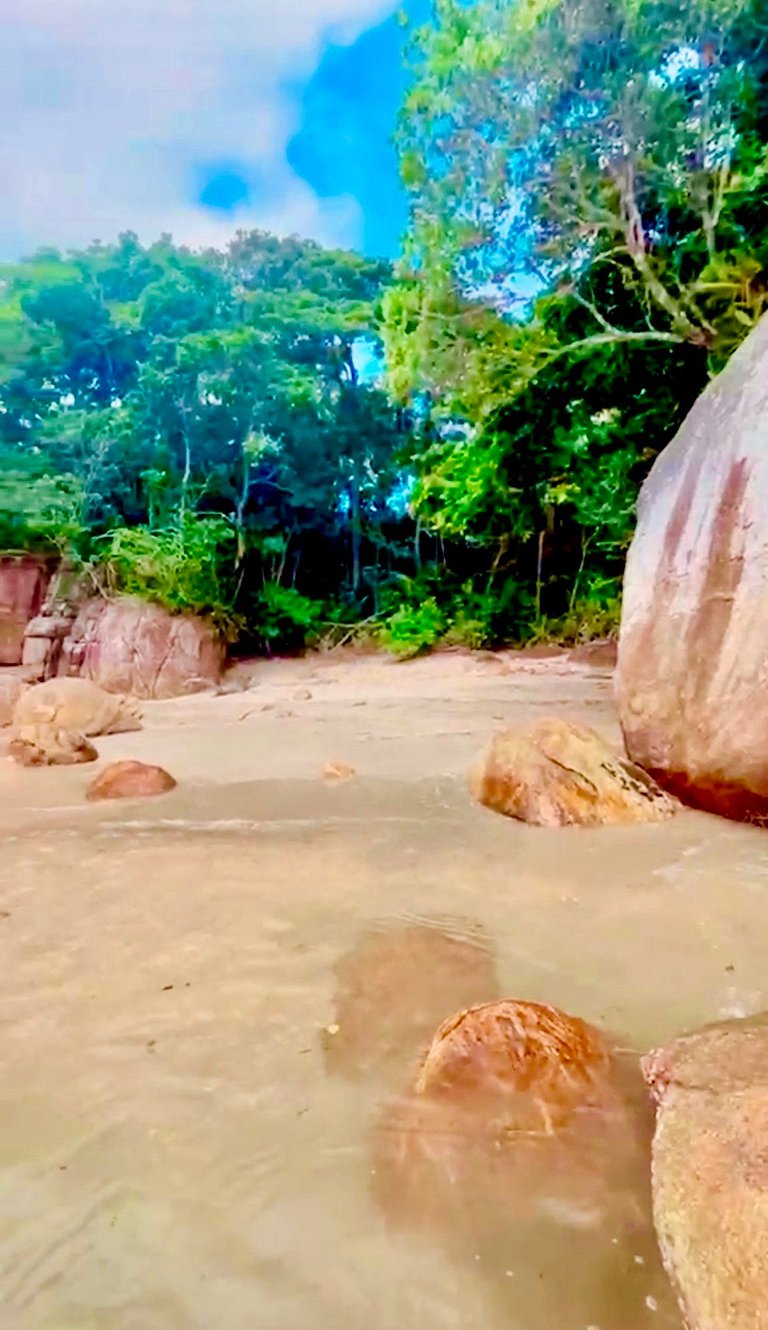 Casa Brava: Luxo na mata e no mar, praia privada